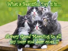 Image result for good morning sunday quotes