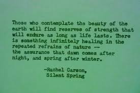 RACHEL CARSON NATURE Earth Day Quote Hand Typed by PoetryBoutique via Relatably.com