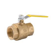 Proline Series Brass Ball Valve 1-in FIP Inlet/Outlet, 600 ...