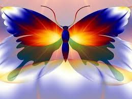 Image result for animated butterflies wallpaper