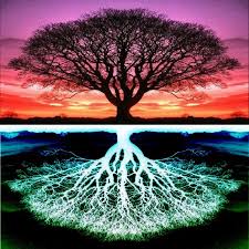Bildergebnis für tree of life