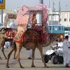 Story image for Harga Paket Umroh Travel Maktour from Detikcom