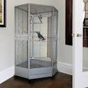 pictures of 2 parrots talking voiceovers for radio
