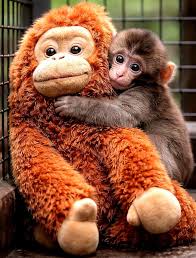 Japan Travel & Tour Updates (WELCOME to JAPAN)