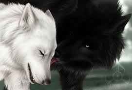 Image result for wolves