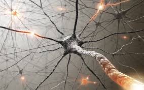 Image result for images of energy traveling through neuronal pathways