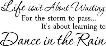 Amazon.com : 23x10 Life isn&#39;t about waiting for the storm to pass ... via Relatably.com