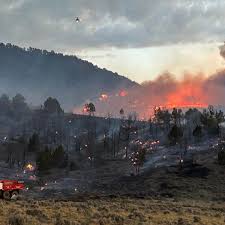 5 wildfires started in Utah over the last 24 hours; what you need to know