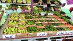 Farm projects ensure year-round supplies