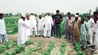 CIMMYT and Punjab agricultural research institutions partner to introduce multi-crop bed planter