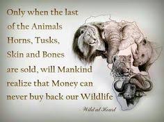 Love for the Wild Quotes on Pinterest | John Muir, Animal Rights ... via Relatably.com