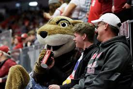 What TV channel is Washington State Cougars football on today? Preview, streaming options