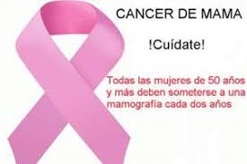 Resultado de imagen de cancer de mama desarrollo