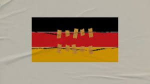 Germansplaining: Is AfD tearing Germany apart?