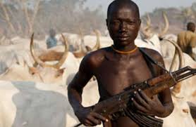 Image result for fulani headsman