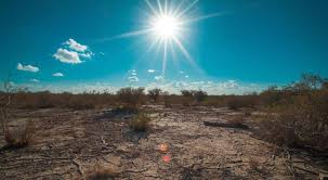 ¿A qué estados afectará la canícula?🎦