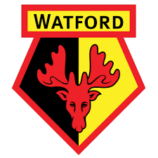Middlesbrough x Watford: Palpite, Onde Assistir, Prognóstico - Championship (25/04/2026)