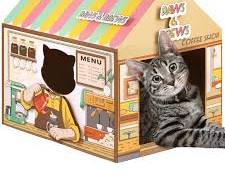 cat playing safely with a cardboard toyの画像