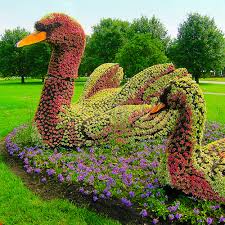 Image result for topiary john brooker