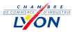 Chambre de commerce de lyon formation professionnelle