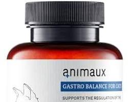 Cat intestinal regulator supplementの画像