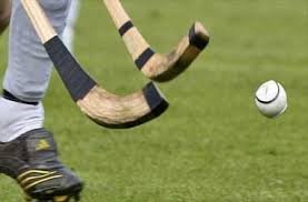 Résultat de recherche d'images pour "shinty"