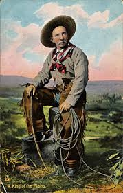 Image result for cowboy