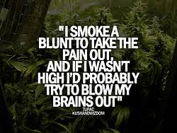 quotes weed kushandwizdom weed quotes kushandwizdom • via Relatably.com