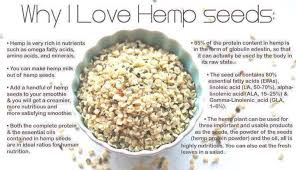 Image result for hemp milk contain thc