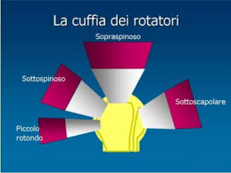 Risultati immagini per cuffia dei rotatori