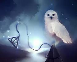 Resultado de imagen de fondos de harry potter tumblr