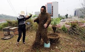 Résultat de recherche d'images pour "covered in bees"