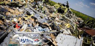 Image result for mh17 wings