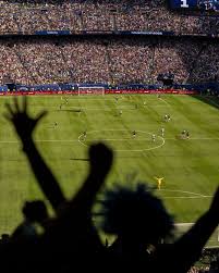 Delightful World Cup Stories