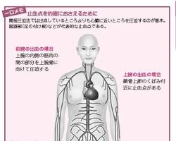 圧迫点（上腕動脈・大腿動脈）を押さえるの画像