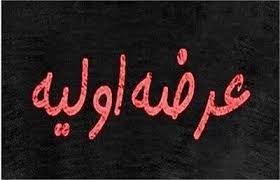 آغاز عرضه اولیه هانیکو از شنبه ۲۲ آذر ۱۴۰۴