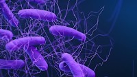 It’s Time to Evolve Beyond FMTs and Advance LBPs
