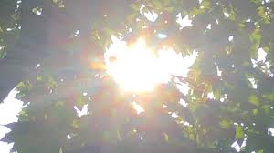 Chicago, Midwest face extreme heat warnings on Thursday
