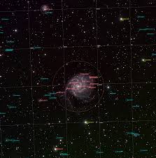 Image result for m101