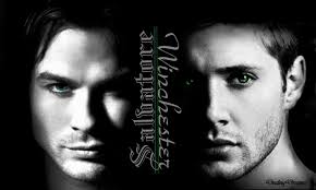 TVD/SPN - Damon &amp; Dean - salvatore-girls-and-winchester-. TVD/SPN - Damon &amp; Dean. Fan of it? 1 Fan. Submitted by iceprincess7492 over a year ago - TVD-SPN-Damon-Dean-salvatore-girls-and-winchester-girls-32245637-1453-871