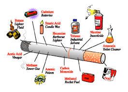 Image result for rokok
