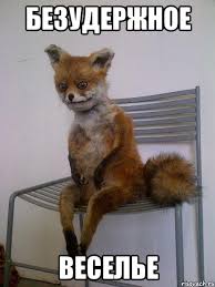 images?q=tbn:ANd9GcRo0J36jeAY8EfKm-qNCIkYbakDBpbUlqHh8IyJArUw9ayn_x3f