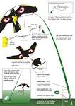 Jackite Assembled Peregrine Falcon Bird Kite, Wind