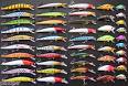 WholesaleBulk Lot of New Born-To-Fish Crankbait Fishing Lures