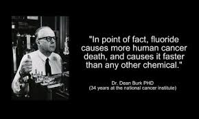 Image result for FLUORIDE