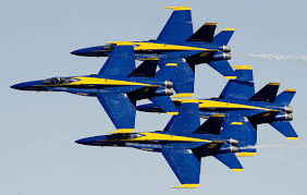 Image result for picture of the blue angels