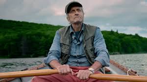 Cameron Douglas' Comeback in 'Looking Through Water'