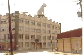 Image result for nipper albany