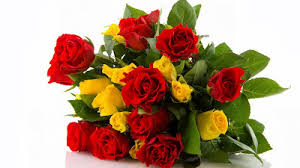 images