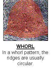 Résultat de recherche d'images pour "fingerprint types"